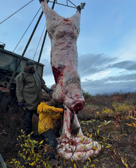 Skining Minions2.png Skining Minions2.png