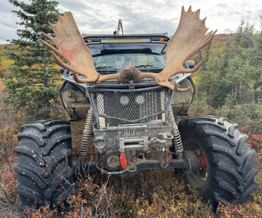 66 inch.png 66 inch.png