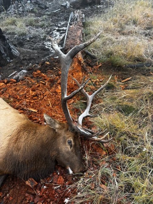 IMG_5294.jpeg IMG_5294.jpeg