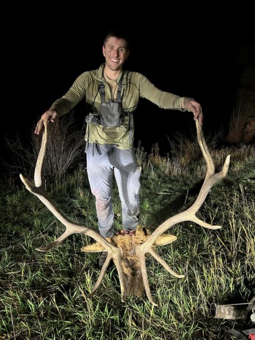 IMG_3246.jpeg IMG_3246.jpeg