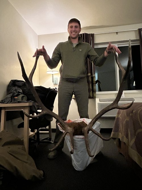 IMG_4151.jpeg IMG_4151.jpeg