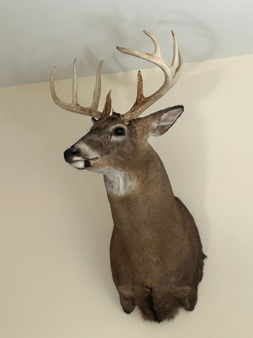 IMG_9330.jpg IMG_9330.jpg