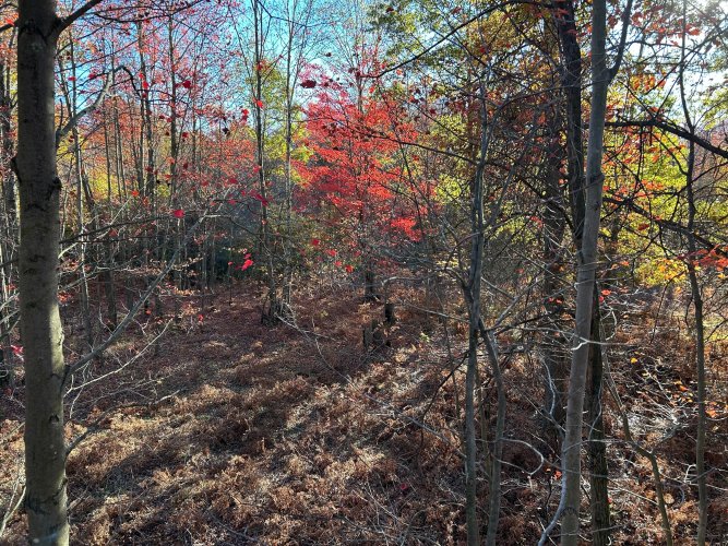 IMG_9436.jpg IMG_9436.jpg