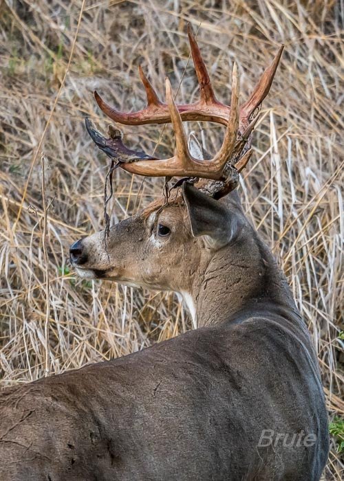 August 2024 a-3632.jpg