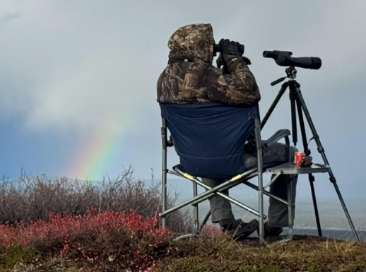 scoping.png scoping.png