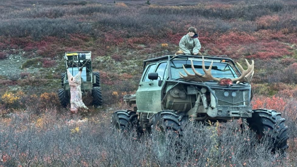 moose buggy.png moose buggy.png