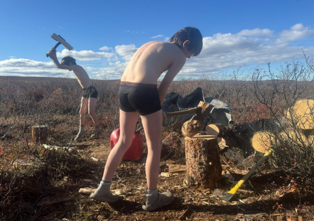 wood chopping.png wood chopping.png