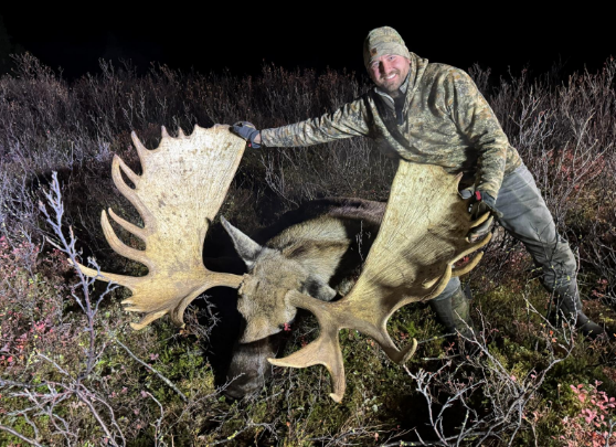 Sherman Moose.png Sherman Moose.png