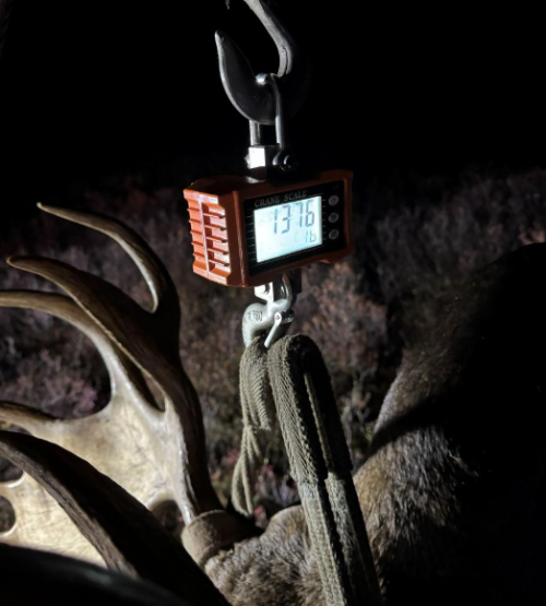 sherman 1376.png sherman 1376.png