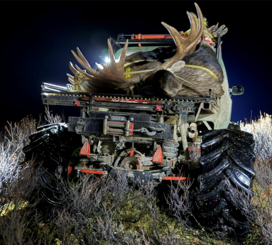 sherman arse.png sherman arse.png