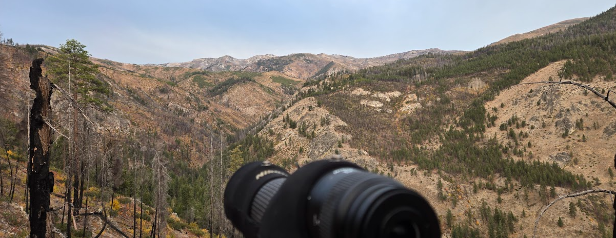 1760996216434.png 1760996216434.png