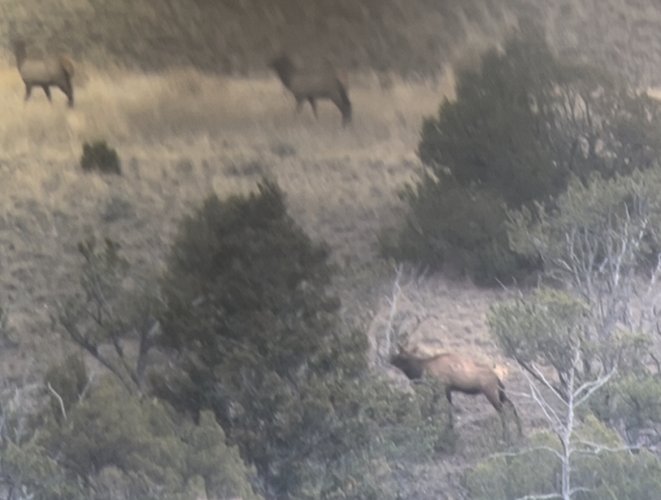 IMG_7576.jpeg IMG_7576.jpeg