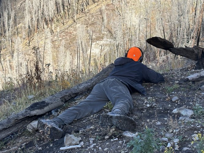 IMG_8731.jpeg IMG_8731.jpeg