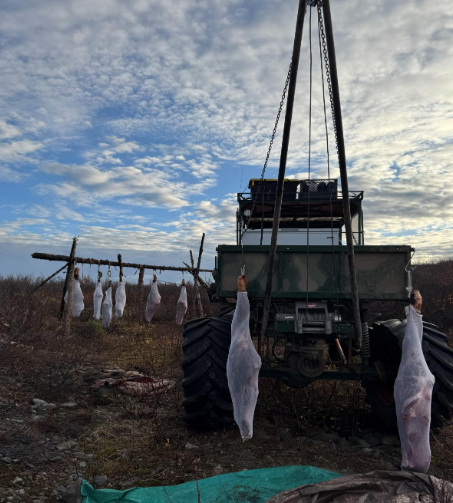 Hanging Meat.png