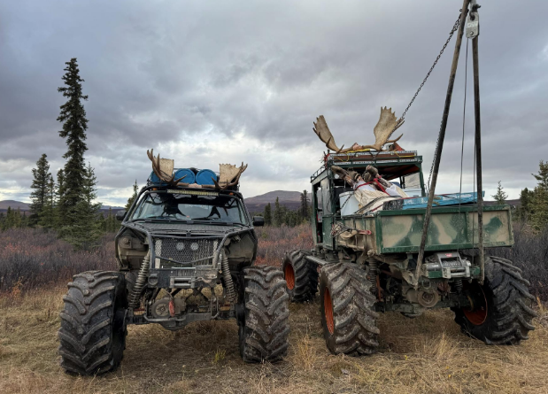 Moose Buggies.png