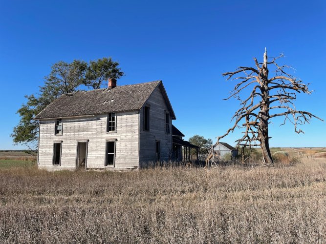 IMG_4492.jpeg IMG_4492.jpeg