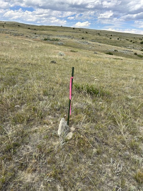 IMG_6160.jpeg IMG_6160.jpeg