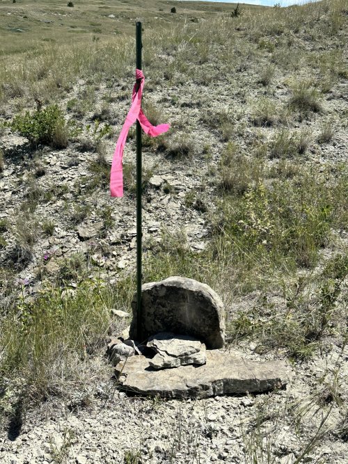 IMG_6153.jpeg IMG_6153.jpeg