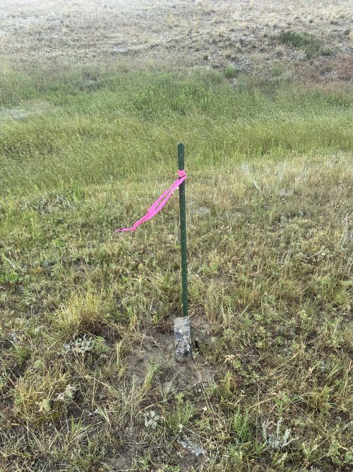 IMG_6090.jpeg IMG_6090.jpeg