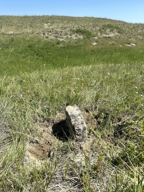 IMG_5779.jpeg IMG_5779.jpeg