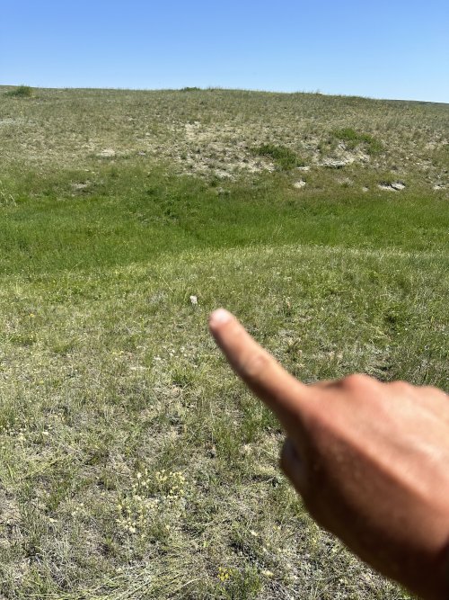 IMG_5774.jpeg IMG_5774.jpeg