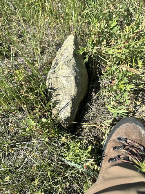 IMG_5769.jpeg IMG_5769.jpeg