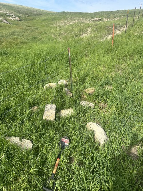 IMG_5591.jpeg IMG_5591.jpeg