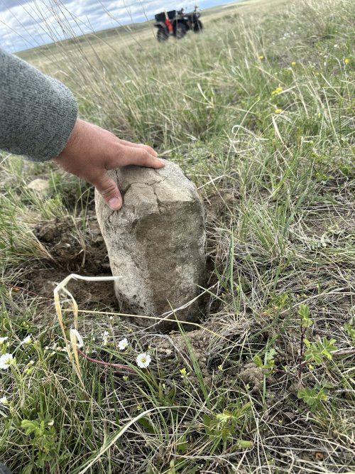 IMG_5532.jpeg IMG_5532.jpeg