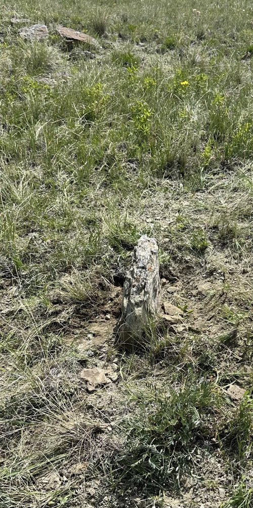 IMG_5621.jpeg IMG_5621.jpeg