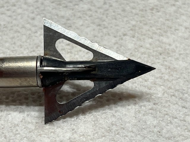 IMG_4591.jpeg IMG_4591.jpeg