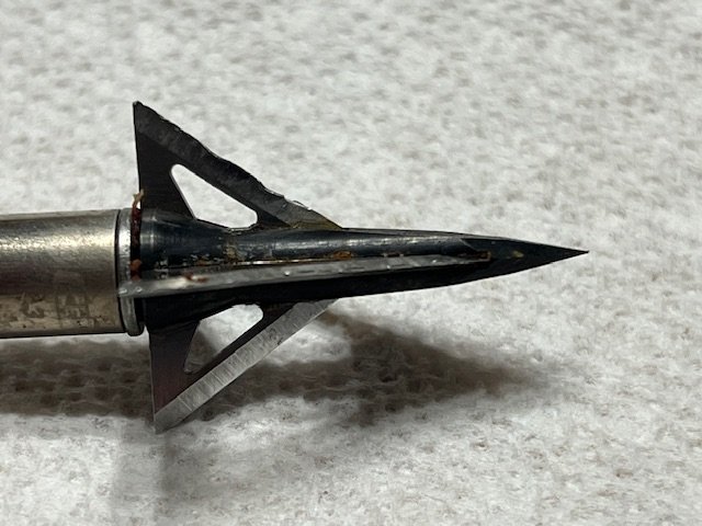 IMG_4590.jpeg IMG_4590.jpeg