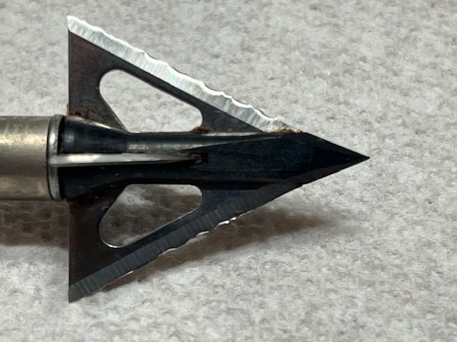 IMG_4589.jpeg IMG_4589.jpeg