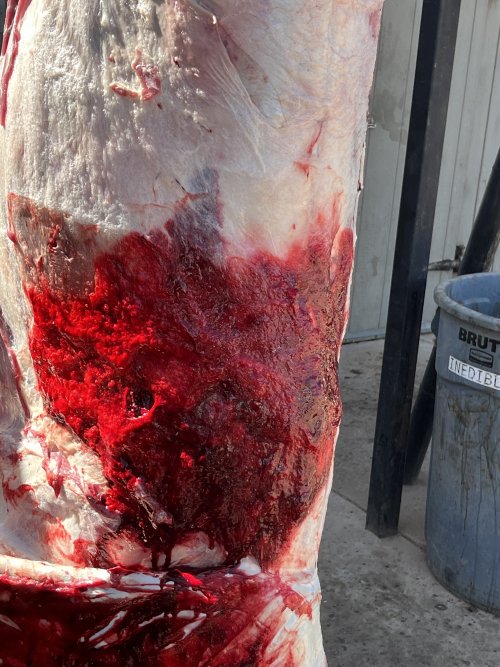 IMG_4364.jpeg IMG_4364.jpeg