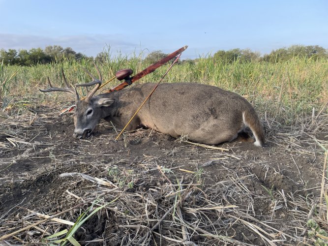 IMG_7548.jpeg IMG_7548.jpeg