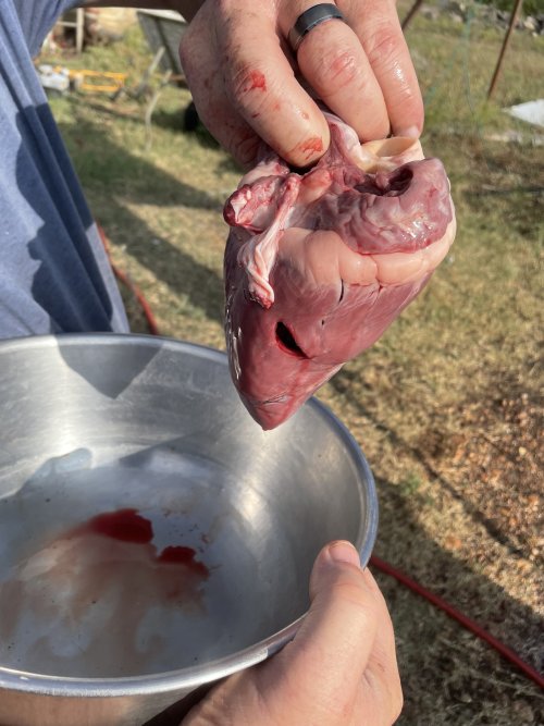 IMG_7557.jpeg IMG_7557.jpeg