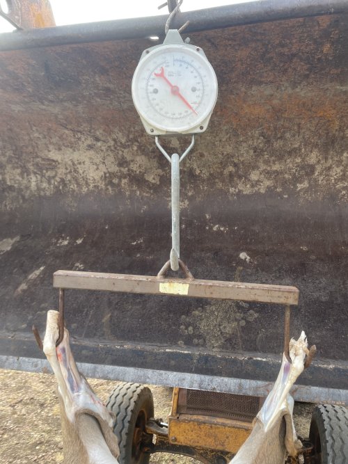 IMG_7555.jpeg IMG_7555.jpeg