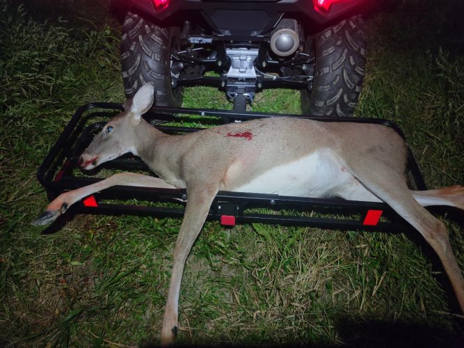 Deer 10222025 7mm-08 140 TGK H4895.jpg