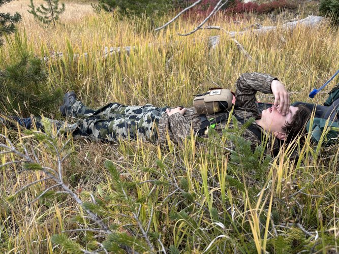 Linc Elk25.jpg Linc Elk25.jpg