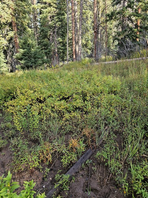 1000006213.jpg 1000006213.jpg