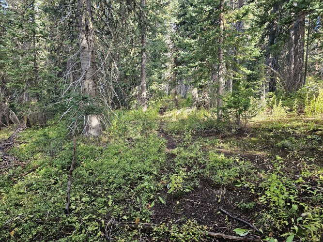 1000006216.jpg 1000006216.jpg