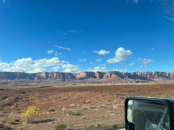 IMG_3105.jpeg IMG_3105.jpeg