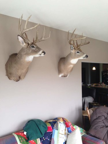 IMG_2500.jpg IMG_2500.jpg