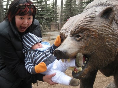 Funny+grizzly+bear+attack+1.jpg