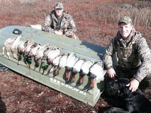 Canvasbacks at Milton Nov. 20 019.jpg