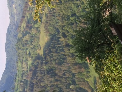 IMG_0496.JPG IMG_0496.JPG