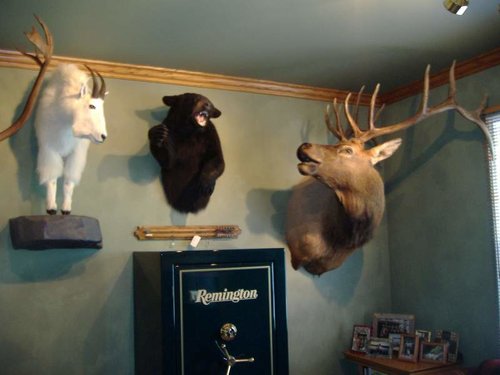 Trophy room 3.jpg