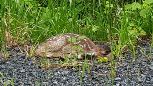 20160529_121947.jpg