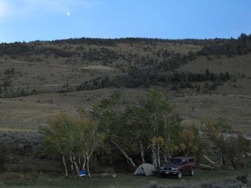 IMG_0132.jpg