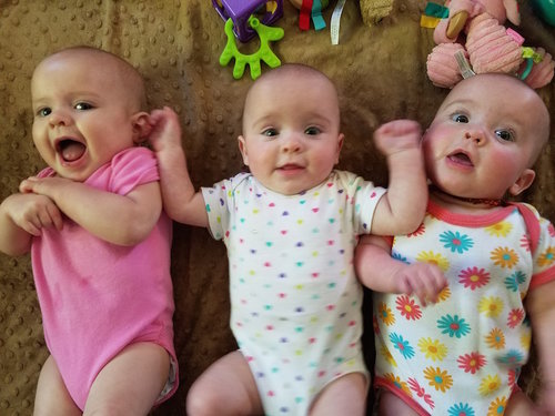 triplets 1.jpg triplets 1.jpg