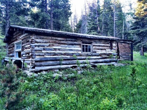 IMG_0194.jpg IMG_0194.jpg